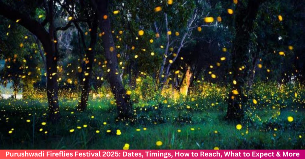 Purushwadi Fireflies Festival 2025: Dates, Timings, How to Reach, What to Expect & More Purushwadi Fireflies Festival 2025