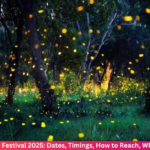 Glowfest Lantern Festival Pondicherry 2025: Date, Ticket Prices, Online Booking & Full Details Glowfest Lantern Festival Pondicherry 2025: Date, Ticket Prices, Online Booking & Full Details