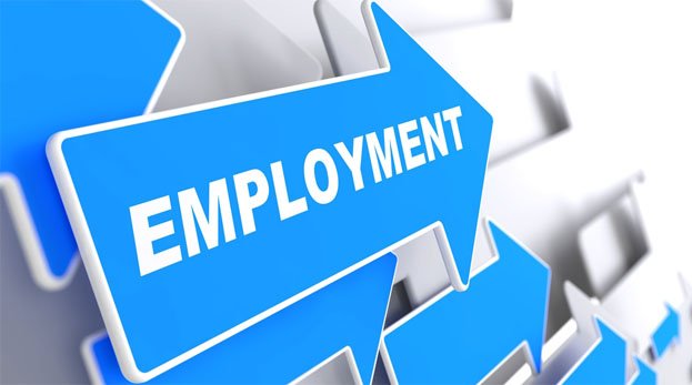Employment Status and Loan Eligibility in USA