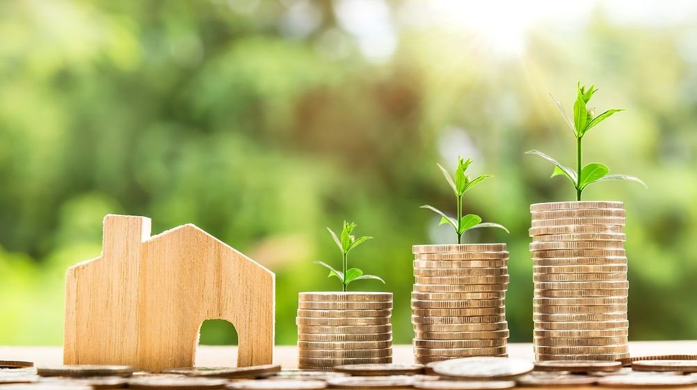 Agricultural Loans Empowering Growth and Harvest